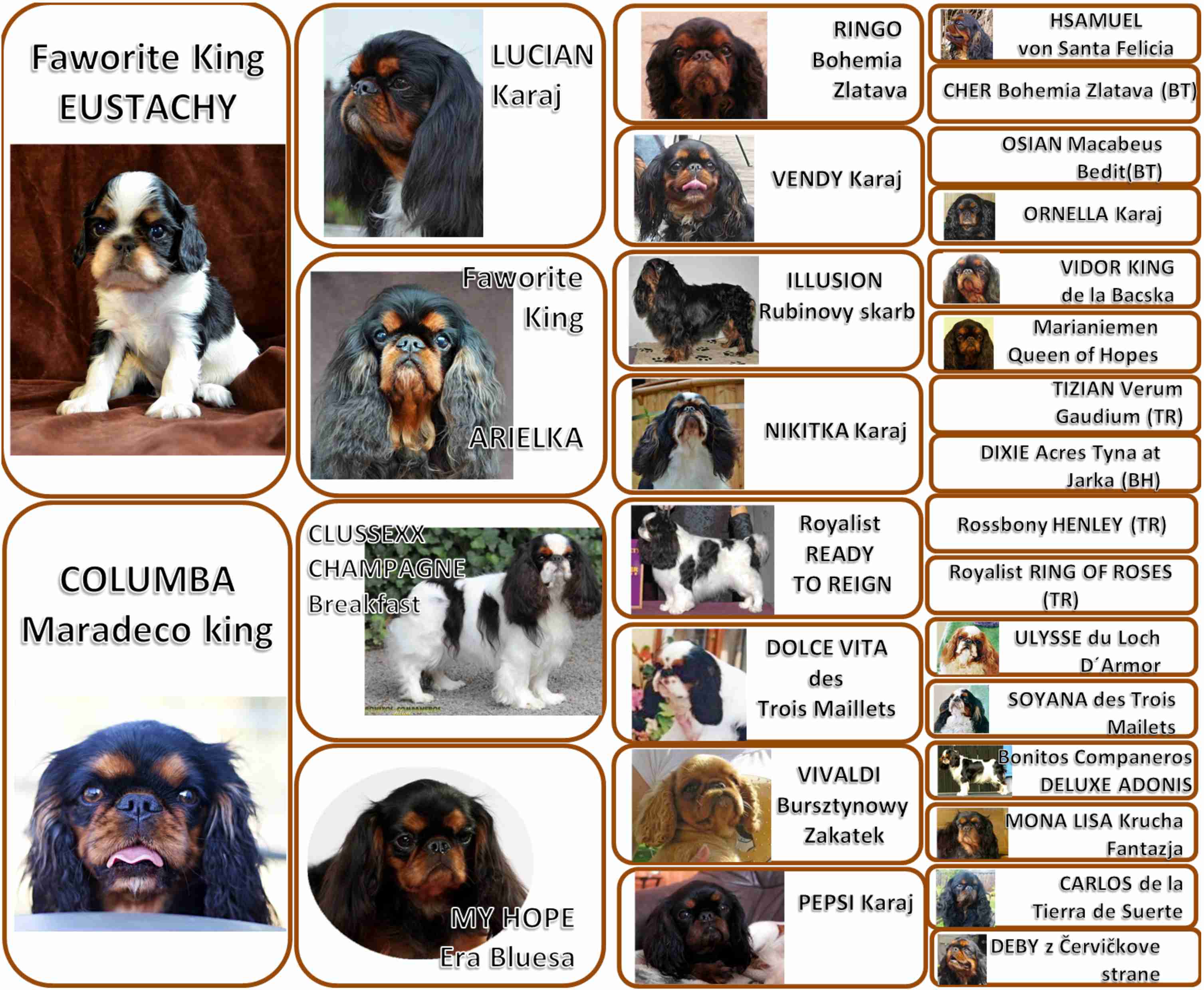 TEQUILA Maradeco King